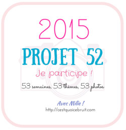 Projet52-2015-logo-cqcb-250